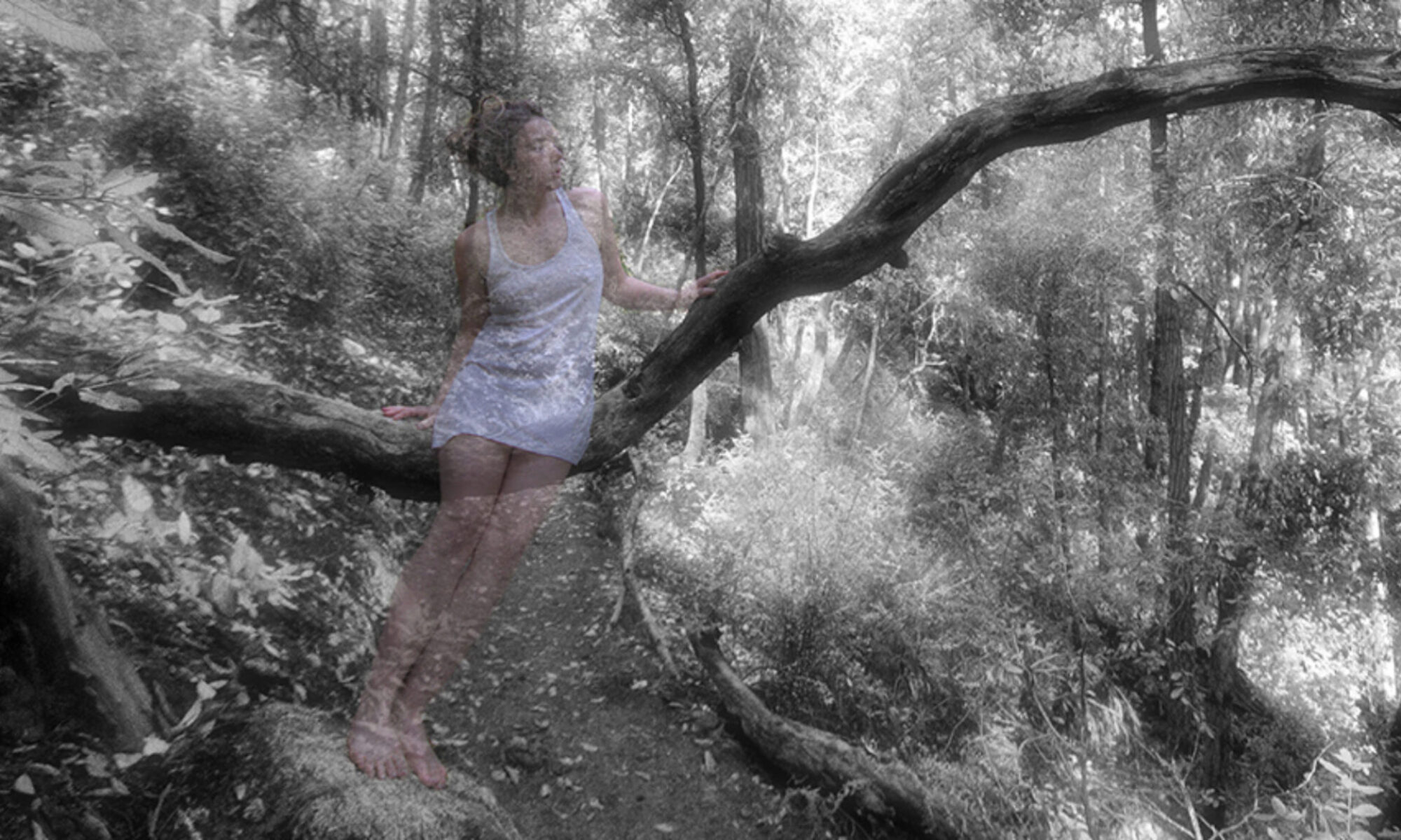 Random Photography